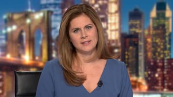 Erin Burnett Photo